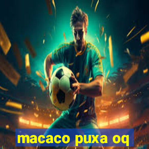 macaco puxa oq